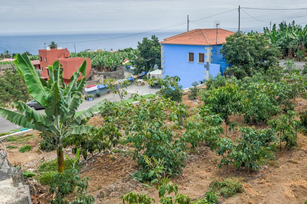 Casa Las Canas Icod De Los Vinos Dış mekan fotoğraf